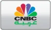 AR| CNBC ARABIA logo