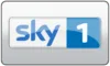 DE| SKY MAX 10 4K logo