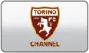SERIE A| TORINO logo