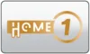 EN| HOME ALONE logo