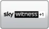UK| SKY WITNESS HEVC HD logo