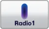 PLAY+| VRT 1 ᴿᴬᵂ logo