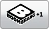 CA| BOOMERANG HD logo