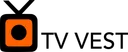 GOLD| TV VEST ROGALAND ᴿᴬᵂ logo