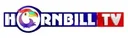 YP| HORNBILL TV ᴿᴬᵂ logo