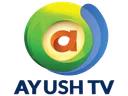 YP| AYUSH TV ᴿᴬᵂ logo