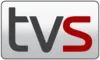 DNK| TV 2 / SYD logo