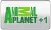 UK| ANIMAL PLANET FHD logo