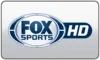 US| FOX SPORTS SUN HD logo