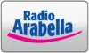 ES| Ràdio Arrels / Flash logo
