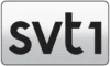 SWE| SVT 1 VÄSTERNORRLAND logo