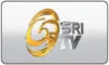 US| NFL CHANNEL logo